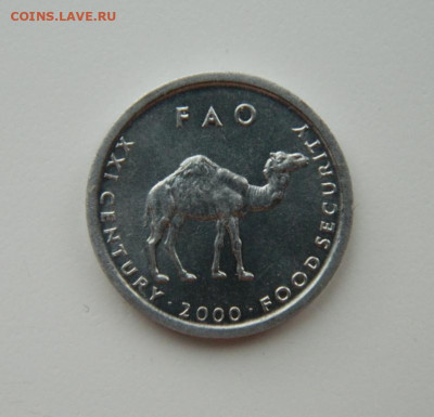 Сомали 10 шиллингов 2000 г.(Юбилейная) Фауна до 28.03.23 - DSCN9825.JPG