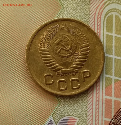 1 копейка 1955. До 28.03.23 в 22.00 - 20230323_161659