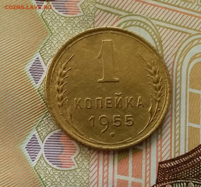 1 копейка 1955. До 28.03.23 в 22.00 - 20230323_161638