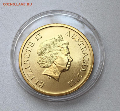 Австралия 1$ доллар 2011 Морской котик Тюлень - avstralija_1_dollar_2011_morskoj_kotik_tjulen_ostrova_makkuori_zhivotnye_fauna_emal (2)