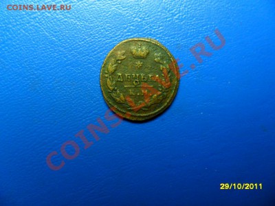 денга 1817км-ам (2) до 17.12.11 в 22-00 мск - SAM_4401.JPG