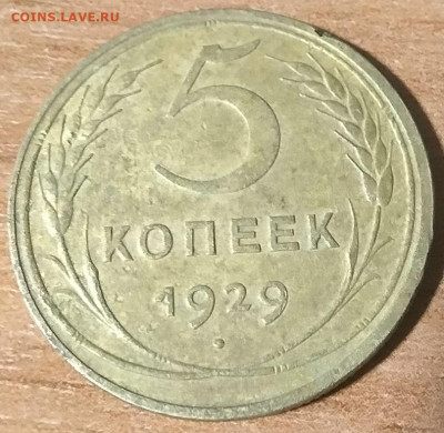 5 копеек 1929 года до 30.03 - 5-29