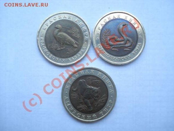 Красная Книга  1992г  до 28.06.09  старт 1т.р. - DSC03762.JPG