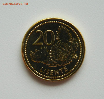 Лесото 20 лисенте 2018 г. (Фауна). до 30.03.23 - DSCN0305.JPG