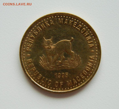 Македония 5 динар 1995г(Фауна)Юбилейная С рубля! до 30.03.23 - DSCN0298.JPG