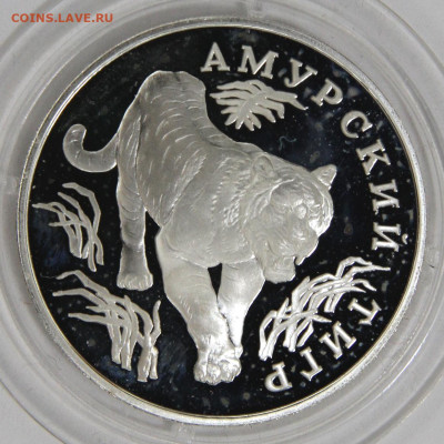 1 рубль 1993 Амурский Тигр с 200 до 29.03 в 22:10 - 1 рубль 1993 Амурский Тигр_2