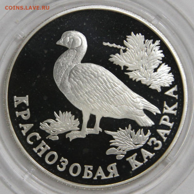 1 рубль 1994 Кроснозобая Казарка с 200! до 29.03 в 22:10 - 1 рубль 1994 Кроснозобая Казарка_2