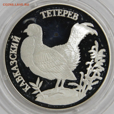 1 рубль 1995 Кавказский Тетерев с 200, до 29.03 в 22:10 - 1 рубль 1995 Кавказский Тетерев_2