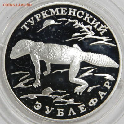 1 рубль 1996 Туркменский Зублефар, с 200! до 29.03 в 22:10 - 1 рубль 1996 Туркменский Зублефар_2