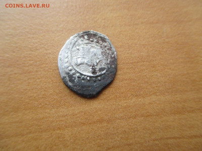 Пара чешуек - IMG_0086.JPG