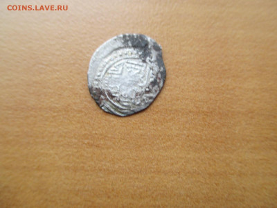 Пара чешуек - IMG_0089.JPG