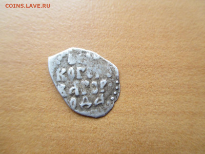 Пара чешуек - IMG_0099.JPG