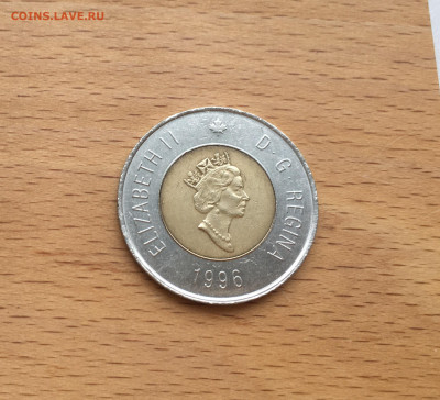 биметалл Канада 2$ доллара 1996 Белый полярный медведь фауна - IMG_6168.JPG