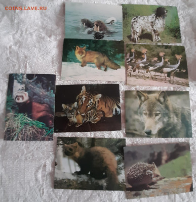 СССР ПК чистые фауна 21шт до 02 04 - 345а
