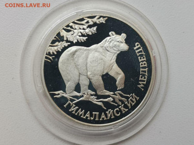 1р 1994 Красная книга Гималайский медведь, Ag900, до 05.04 - Y КК Медведь-1