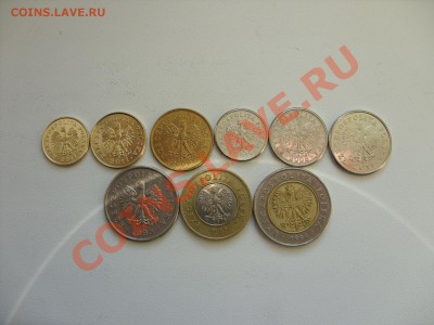 Подборка монет Польши, все номиналы.До 21.12.2011 в 23:30 М - Аук Польша - 2.JPG