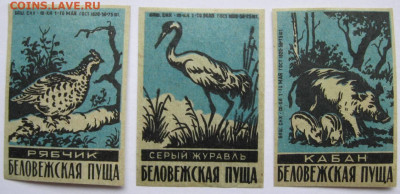Этикетки «Беловежская Пуща».  До 07.04.23г 20-00 мск - Беловежская Пуща птицы 3 этикетки синие