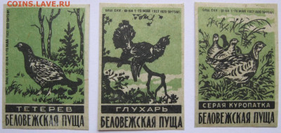 Этикетки «Беловежская Пуща».  До 07.04.23г 20-00 мск - Беловежская Пуща птицы 3 этикетки зеленые