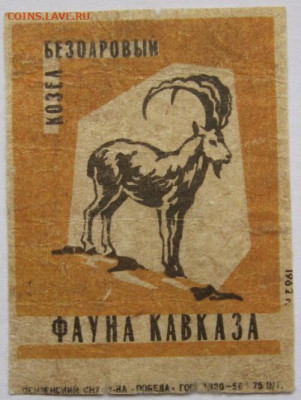 Этикетки Фауна –сборный лот. До 07.04.23г 20-00 мск - Фауна Кавказа Козел безоаровый Победа