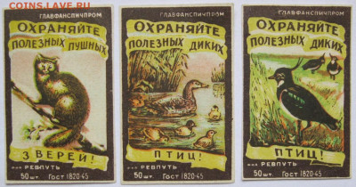 Этикетки Фауна –сборный лот. До 07.04.23г 20-00 мск - Охраняйте диких полезных зверей и птиц Ревпуть