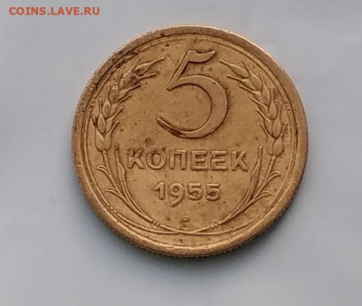 5 коп 1955 г - IMG_20230403_193447~2