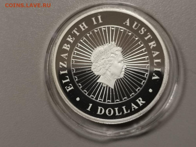 1 доллар, 2012 Австралия. Опал. Вомбат, Ag999, до 10.04 - Я Вомбат-2