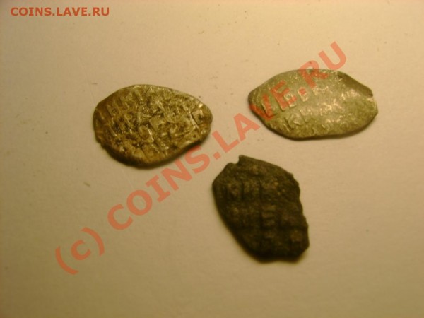 медная чешуя 6 шт. до 23,06,09 в 21-00 - DSC03151.JPG