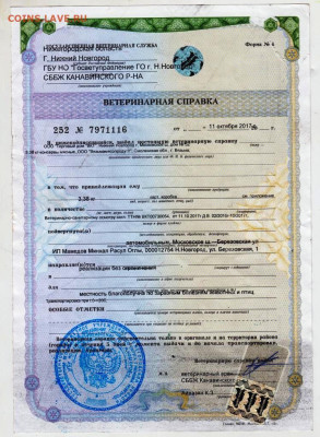 ВЕТЕРИНАРНАЯ СПРАВКА 2017 г. до 10.04.23 г. в 23.00 - 002