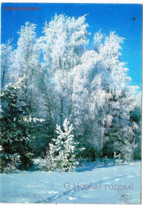 Открытка С НОВЫМ ГОДОМ! 1989 г. до 10.04.23 г. в 23.00 - 027