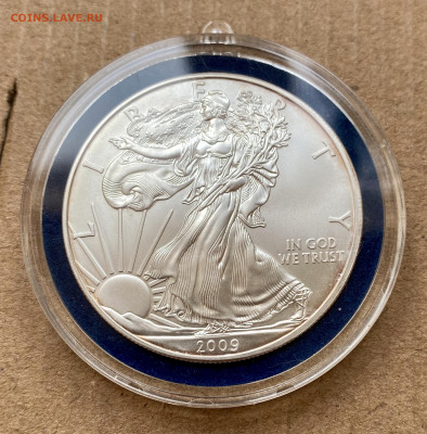 1$ США2008  Ag 999 в капсуле AUNC Шагающая Свобода - IMG_4318