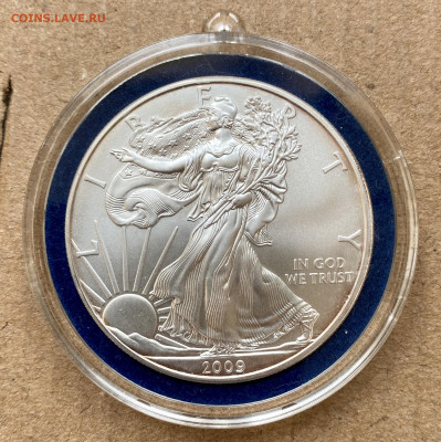 1$ США2008  Ag 999 в капсуле AUNC Шагающая Свобода - IMG_4317