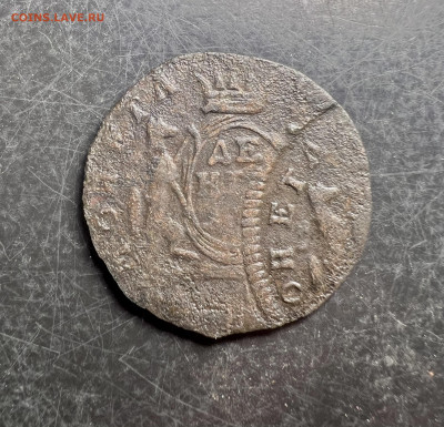 Деньга Сибирская , двойной удар до 8.04.2023 - 419DF56F-E505-46F6-A722-00892137533E