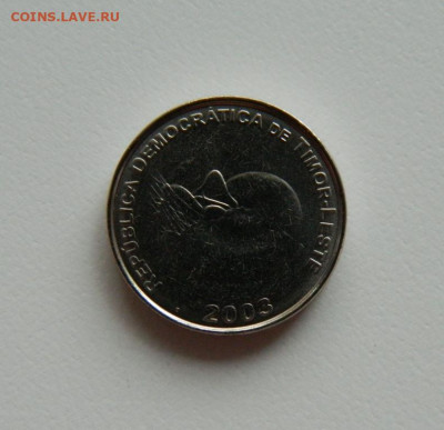 Восточный Тимор 1 сентаво 2003 г.(Фауна)С рубля! до 10.04.23 - DSCN0608.JPG
