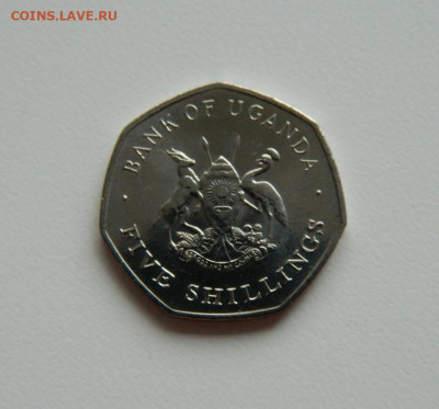 Уганда 5 шиллингов 1987 г. с рубля! до 10.04.23 - DSCN0614.JPG