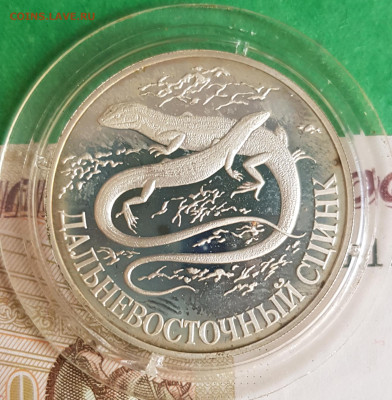 1 рубль 1998 Дальневосточный сцинк  до 22:00 по МСК 10.04.23 - 20230405_160244