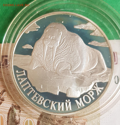 1 рубль 1998 Лаптевский морж   до 22:00 по МСК 10.04.23 - 20230405_160325
