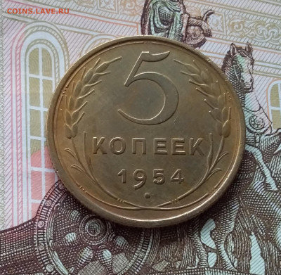 5 копеек 1954. До 10.04.23 в 22.00 - 20230405_165743