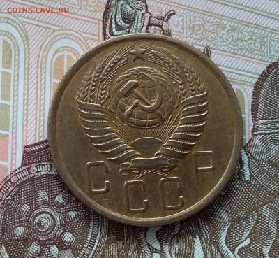 5 копеек 1956. До 10.04.23 в 22.00 - 20230405_170333