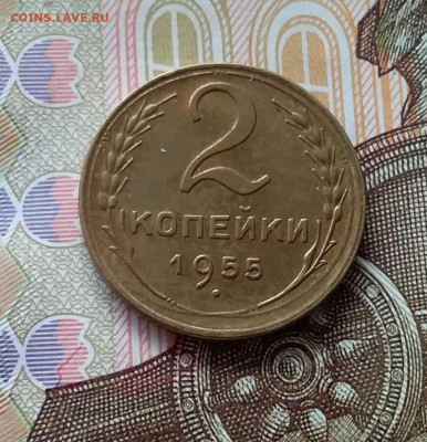 2 копейки 1955. До 11.04.23 в 22.00 - 20230406_161241