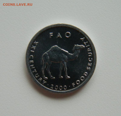 Сомали 10 шиллингов 2000г.(Юбил.) Фауна С рубля! до 11.04.23 - DSCN0640.JPG