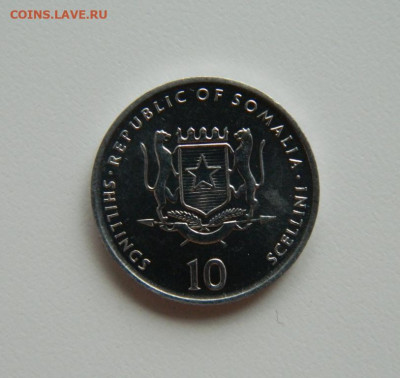 Сомали 10 шиллингов 2000г.(Юбил.) Фауна С рубля! до 11.04.23 - DSCN0641.JPG