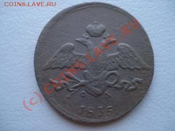 7 монет на палатку 2х-местную - a2