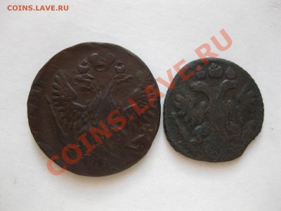 деньга 1751,полушка 1735_,_,_,_,до 19.12.11 - IMG_7709.JPG