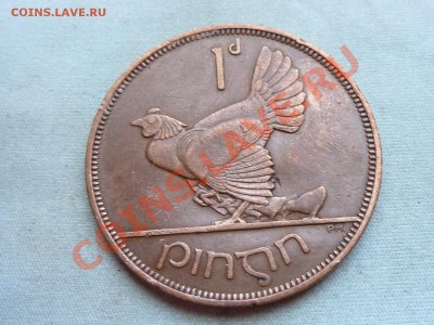 ИРЛАНДИЯ 1ПЕННИ 1935г. НАСЕДКА до 22.12.11 в 22-00 - MEMO0033.JPG