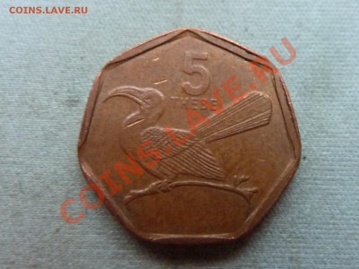 БОТСВАНА 5 THEBE 2009г.ТУКАН  до 22.12.11 в 22-00 - MEMO0040.JPG