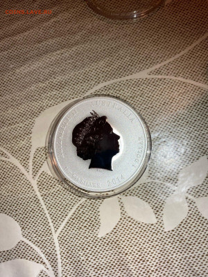 1 Доллар  Австралия 2014  Лунный календарь Год Лошади Лунар  - Nr8h3wDP_9pYoSiWWF4GN5hbrQZvXDSkEz9eKV-0tsq6fudarJu4nNO1JwrkXxmFcqfY3NnkZXVYyIWvX_-pTCYa