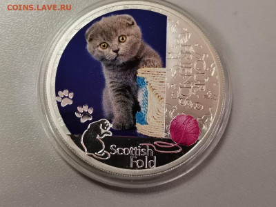 2дол 2012 Ниуэ -Шотландская вислоухая кошка, Ag999, до 17.04 - ЯЯ Шотландия в кор-2