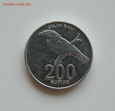 Индонезия 200 рупий 2003 г. (Фауна) С рубля! до 17.04.23 - DSCN0837.JPG