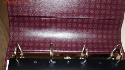 У - DSC07873.JPG