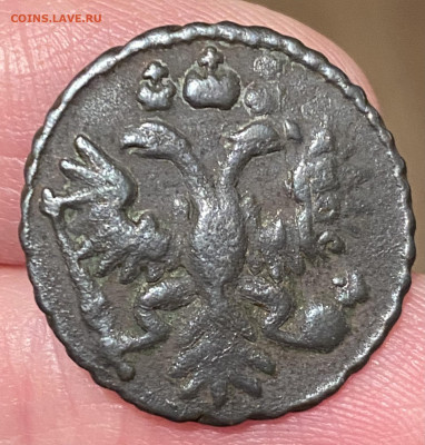 Полушка 1731 г., перечекан с копейки 1728. До 16.04.23 22:00 - AA15E2D7-A45A-4F87-A1F5-A8BB848F8B17